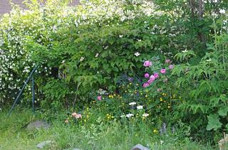 IMGP1197-resize.jpg
