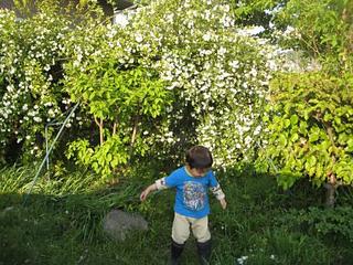 IMG_2089-resize.jpg